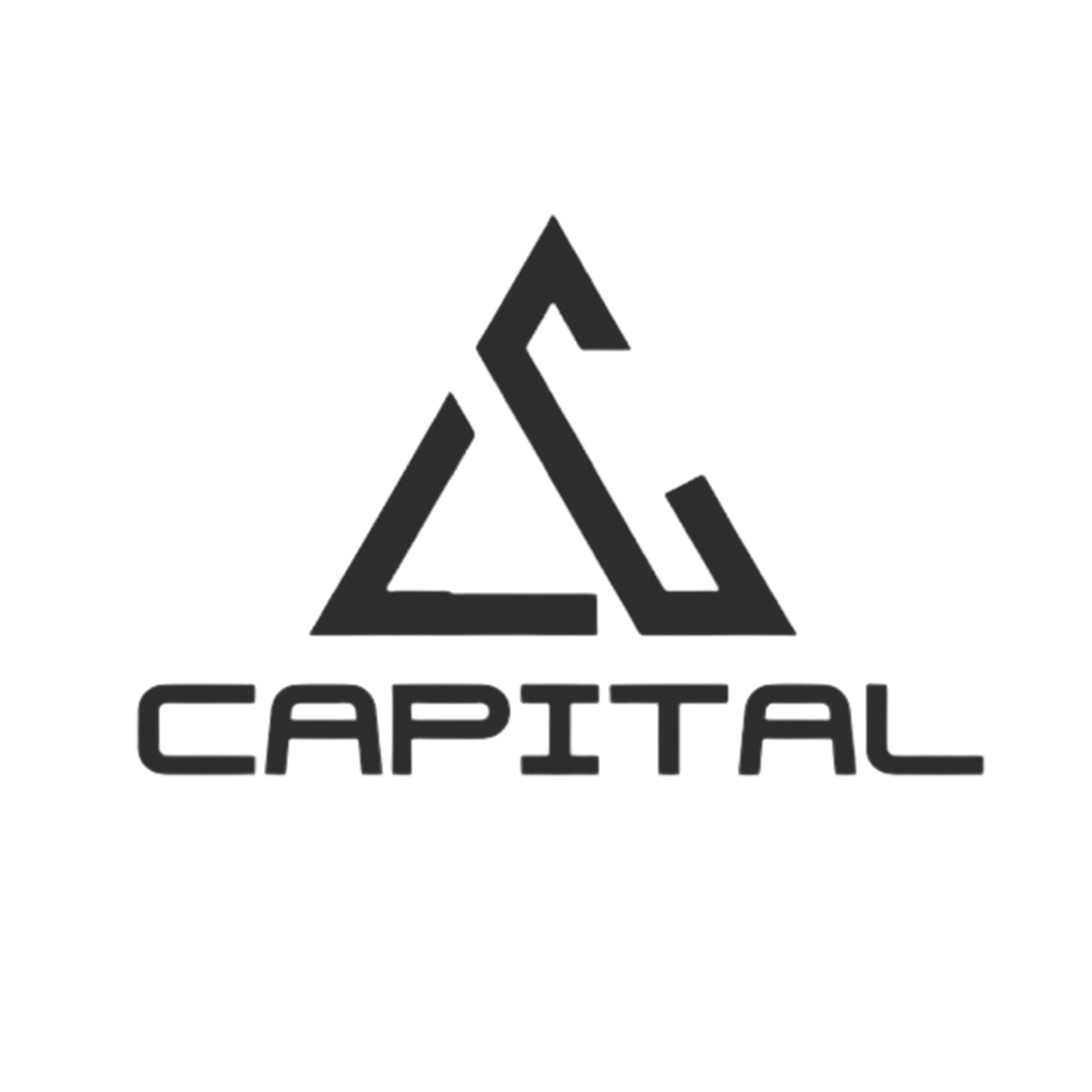 Logo VC Capital 2
